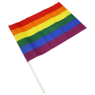 PRIDE - MEDIUM FLAG PENNANT LGBT
