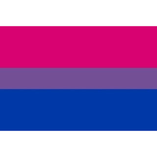 PRIDE - BISEXUAL FLAG BRACELET 90 X 150
