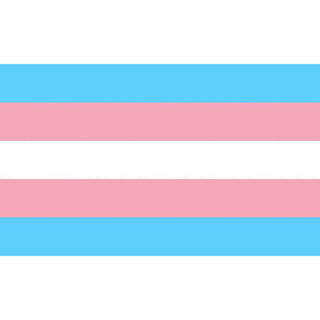 PRIDE - TRANSEXUAL FLAG 90 X 150